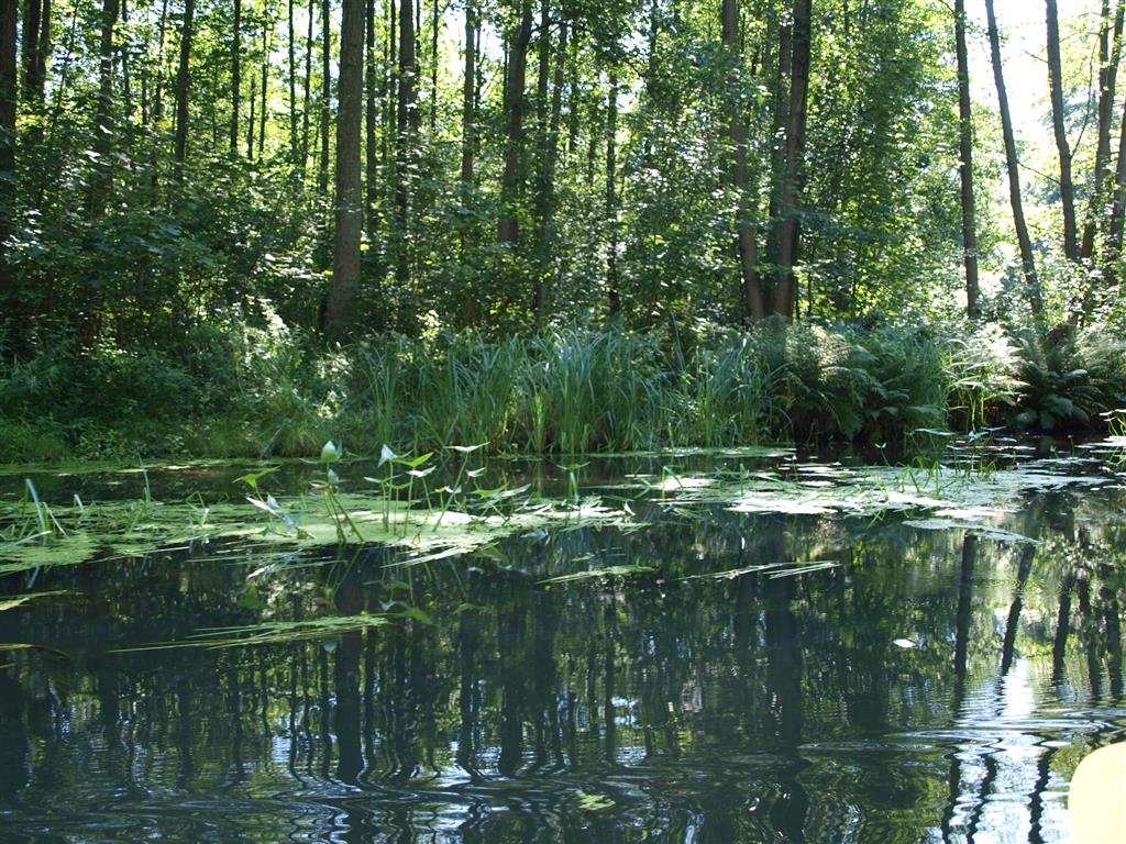 platzhalter_unterspreewald2.jpg